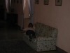 DSCN0387.jpg