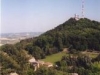 monte.jpg
