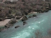 dscn0009.jpg