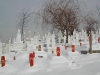 dscn0097.jpg