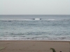 dscn0118.jpg