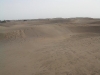 dscn0123.jpg