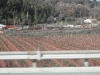 dscn3088.jpg