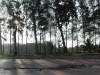 butlerbay.jpg